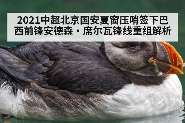 2021中超北京国安夏窗压哨签下巴西前锋安德森·席尔瓦锋线重组解析