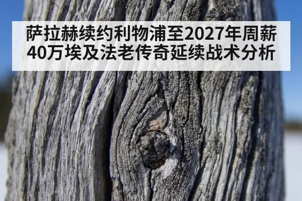 萨拉赫续约利物浦至2027年周薪40万埃及法老传奇延续战术分析